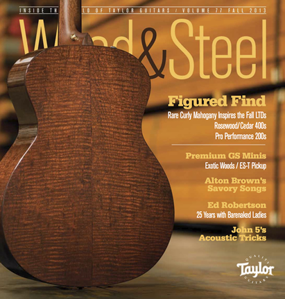 Wood-Steel-Fall-2013-cover-430x411